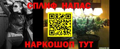 метадон Новозыбков