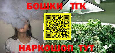 мдпв Новокубанск