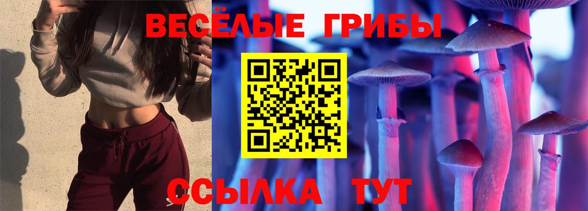 цены наркотик  Вход с VPN  Сухой Лог  Галлюциногенные грибы мухоморы 